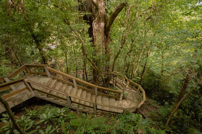 In the Rainforest Belize Sleeping Giant